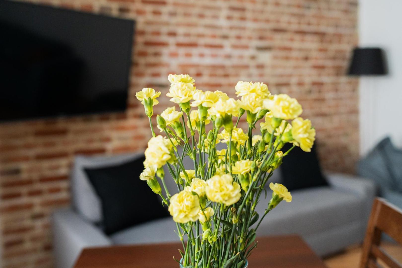 Big Apart - Nice Design - 3 Rooms - Wroclaw City Centre Ngoại thất bức ảnh